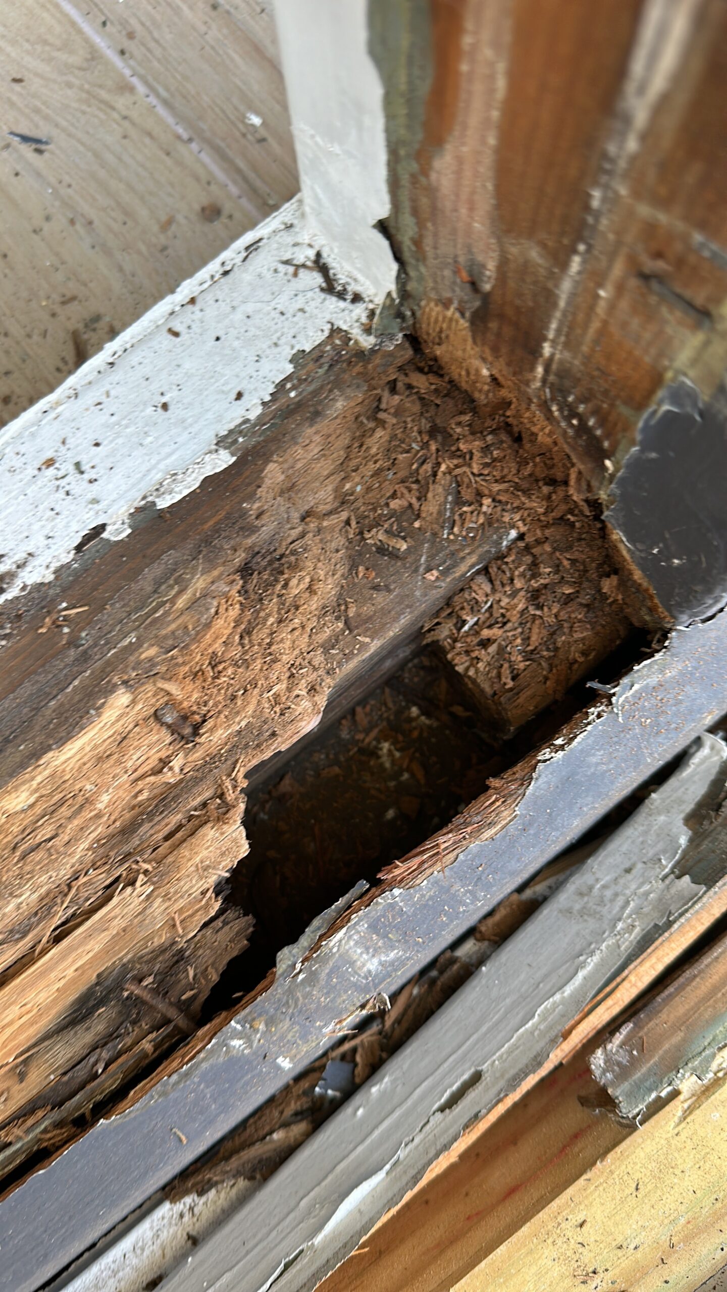 Storm-damaged roof in Tampa by Bigfoot Windows & Roofing